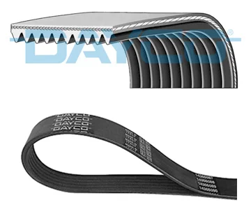 Scania G Series Fan Belt