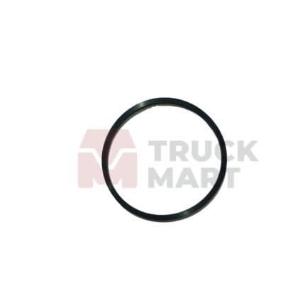 Scania 124 Fuel Pump O-Ring