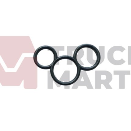 Scania 124 O-Ring Head Fuel