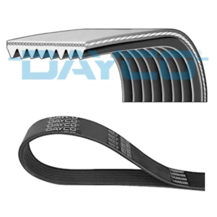 Fan Belt