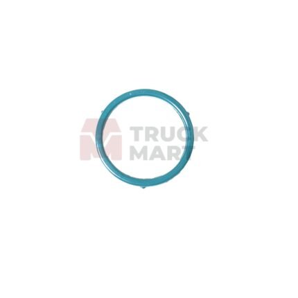 Scania 124 Oil Pump Sealing (Small)